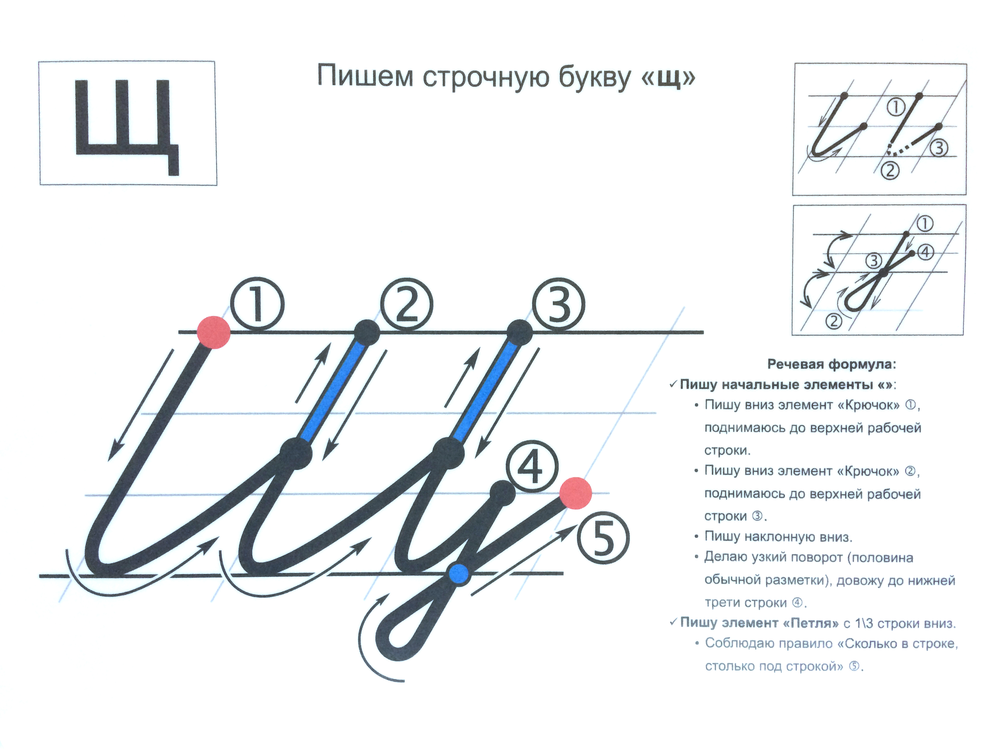 Письмо строчной в. Алгоритм написания строчной буквы а. Прописи Лысенко элемент Наклонная. Лысенко Ольга Васильевна каллиграфия. Прописи цифр. Методика Ольги Лысенко.